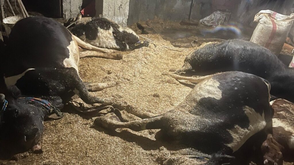 orduda ahirda yangin 47cgwfh1