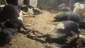 orduda ahirda yangin 47cgwfh1