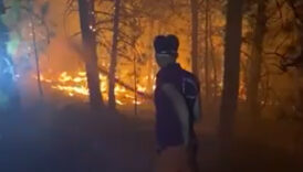 orman kahramanlari yesil vatan icin mucadele veriyor dJK85J9j