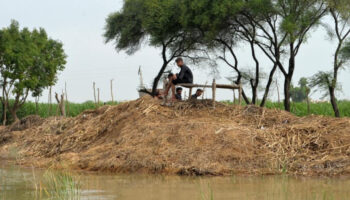 pakistanda sel felaketi olenlerin sayisi 104e cikti QAF6hT2E