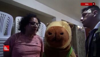 peruda polis uyusturucu saticisini kapibara kostumu giyerek yakaladi 7JskpPlE