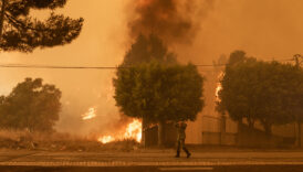 portekiz ve ispanyada orman yanginlariyla mucadele ekaAWjB6
