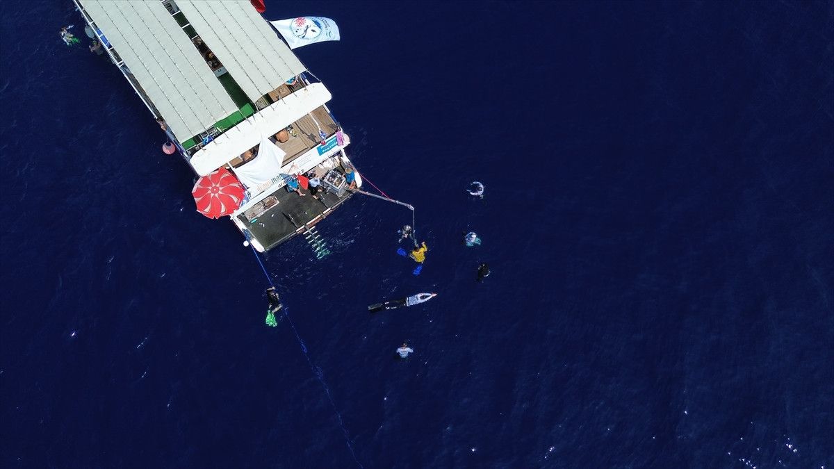 sahika ercumenden serbest dalis turkiye sampiyonasinda 4 altin madalya birden 1 NNf2aXmz