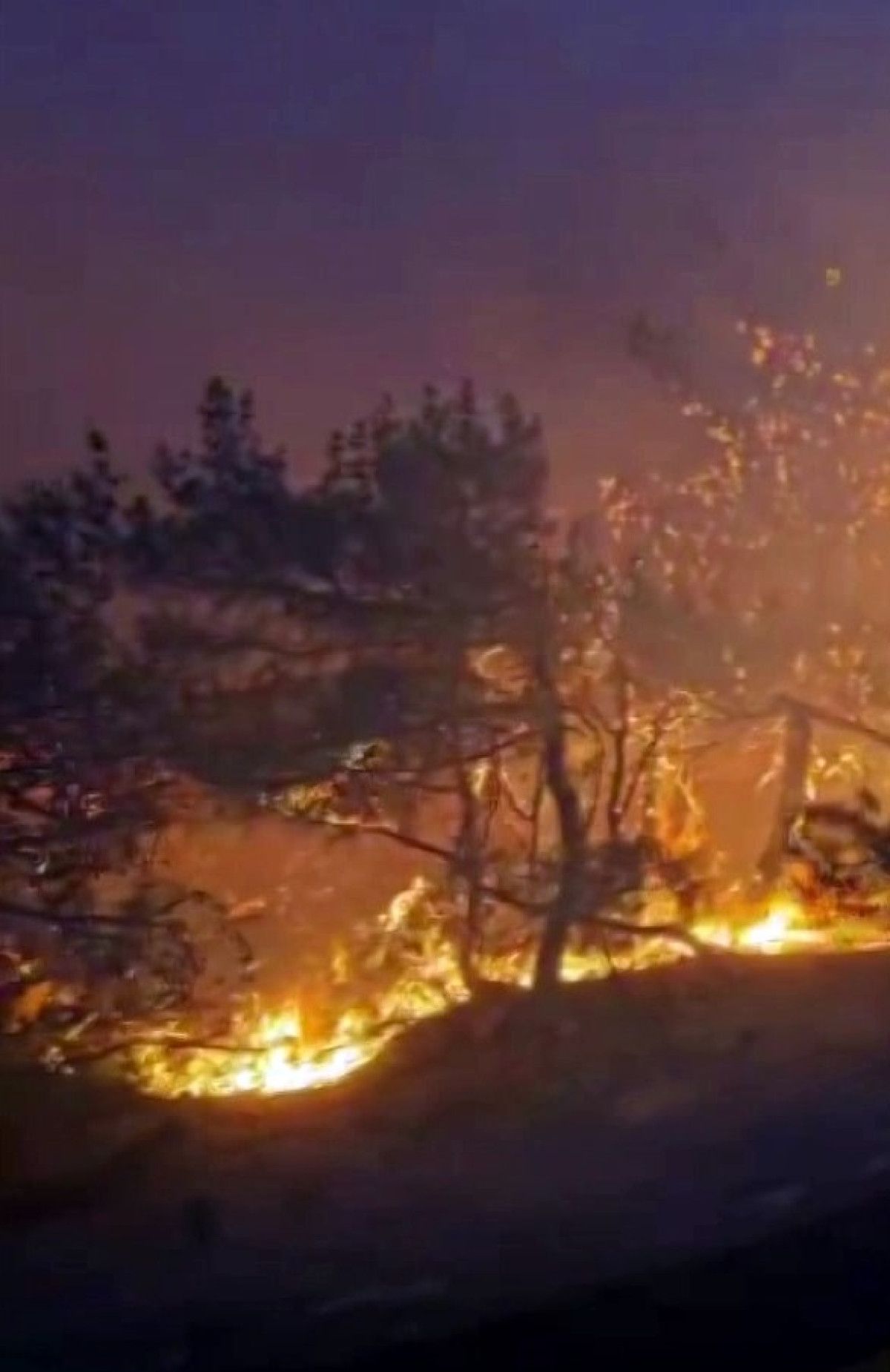 sakaryada alev cemberinin icinden gectiler 0 DKen5WGZ