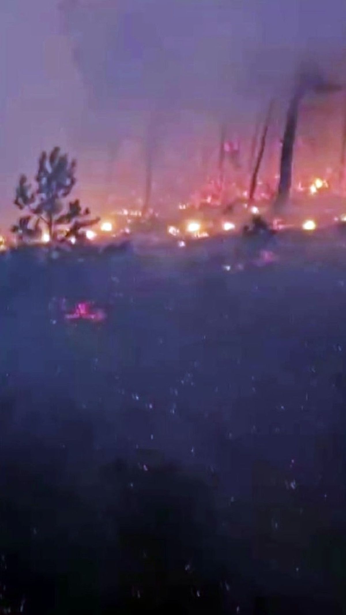 sakaryada alev cemberinin icinden gectiler 3 shFqrs22