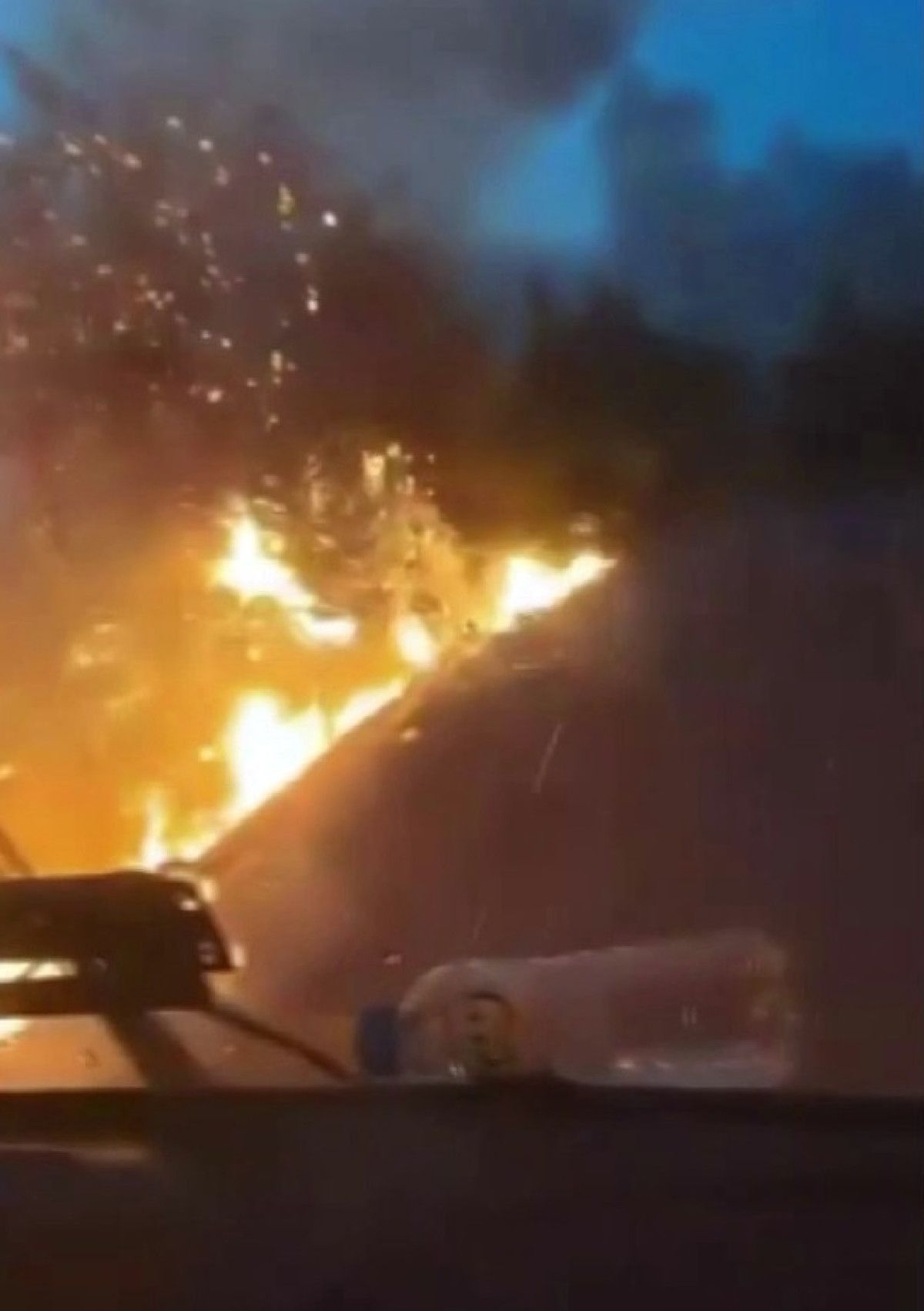 sakaryada alev cemberinin icinden gectiler 4