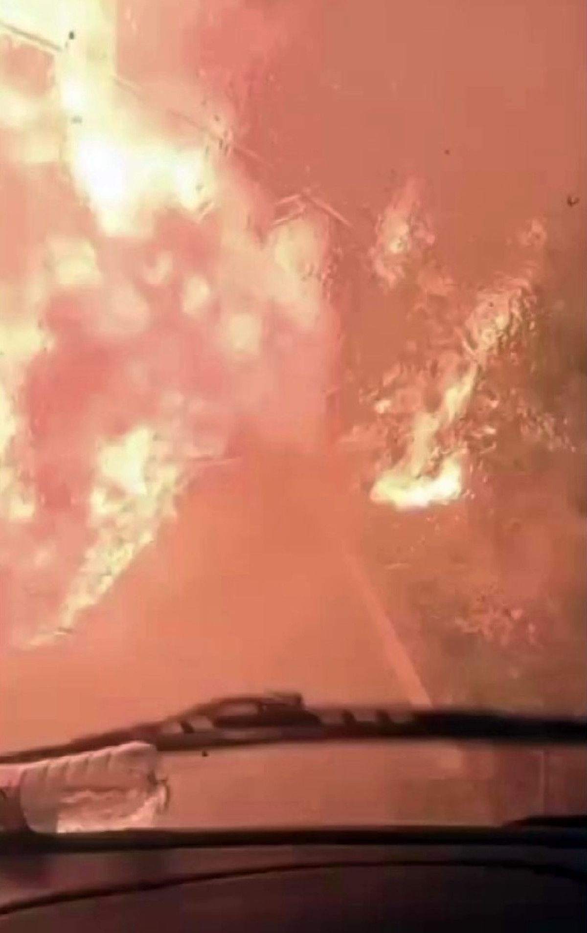 sakaryada alev cemberinin icinden gectiler 5 8eiKdBtp