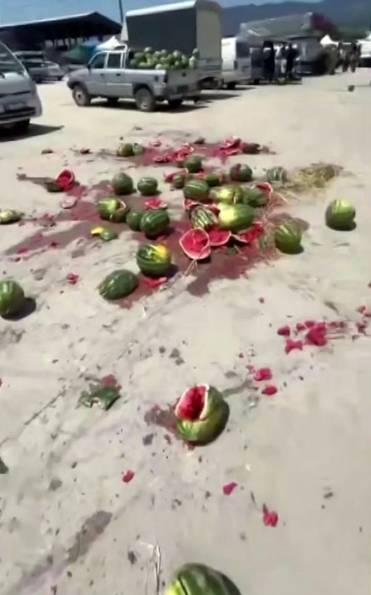 sakaryada alici bulamayinca karpuzlari parcalayan ureticiye ceza 4 I8zthCdA