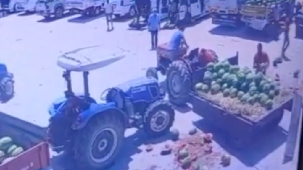 sakaryada alici bulamayinca karpuzlari parcalayan ureticiye ceza Y634tBd4