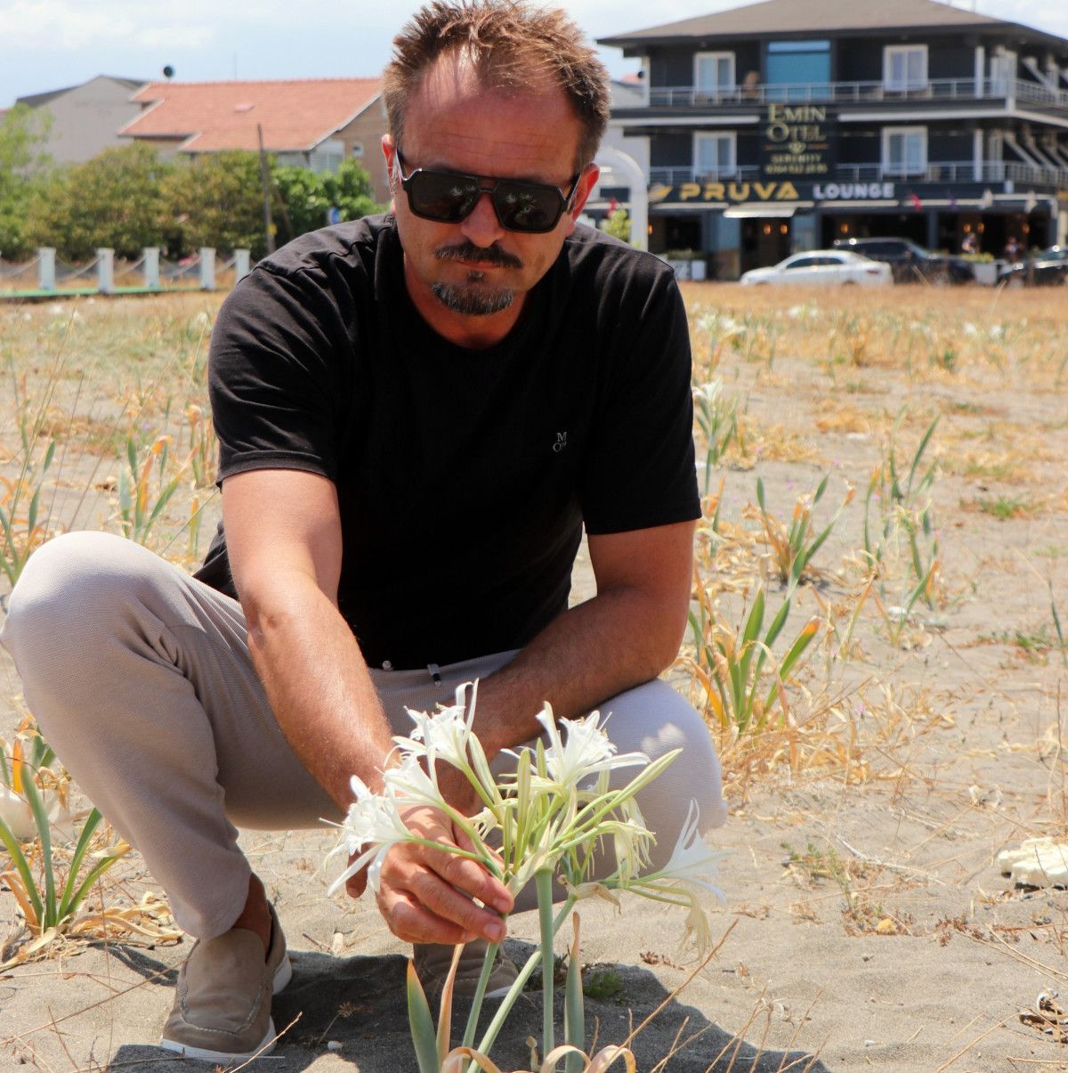 sakaryada bulunan kum zambaklarini koparmak cep yakiyor 5 OsCQZNpm