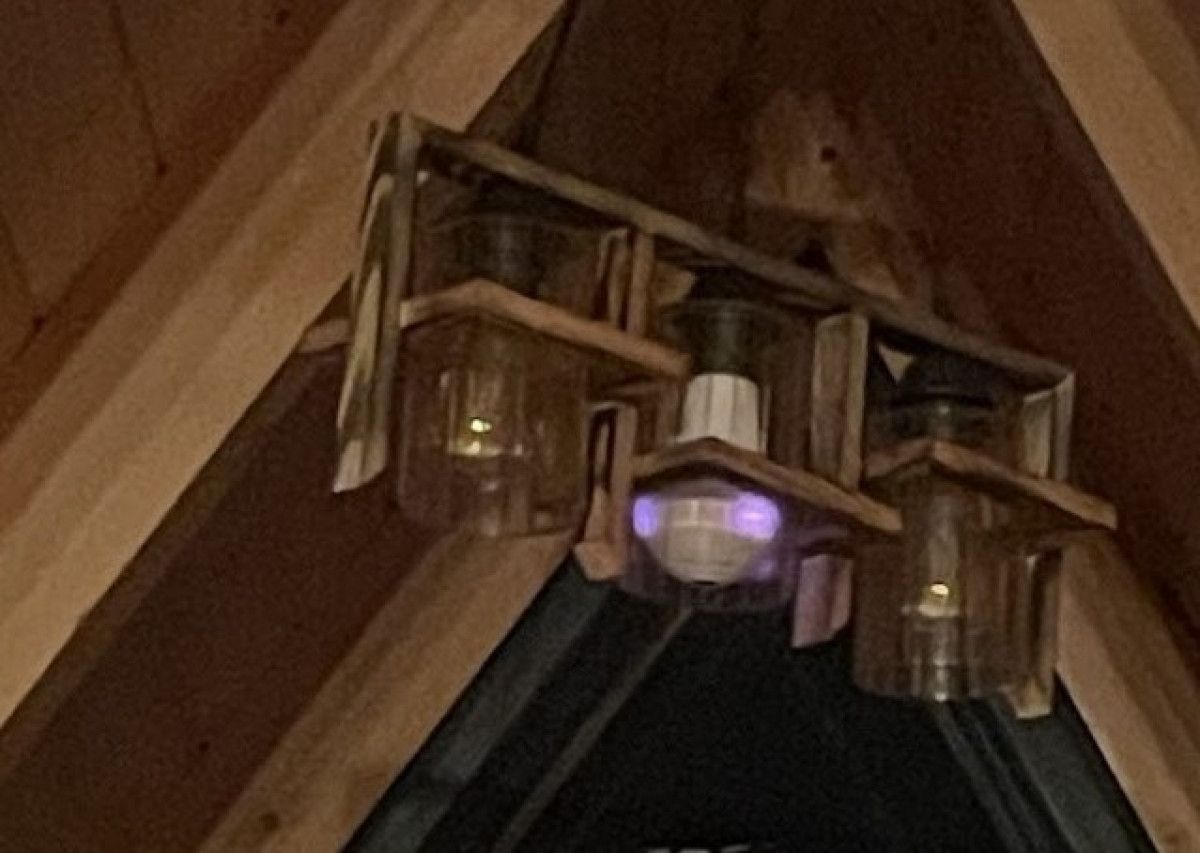 sakaryada bungalov skandali isletme sahibinin plani desifre oldu 2 MUIlXLmL