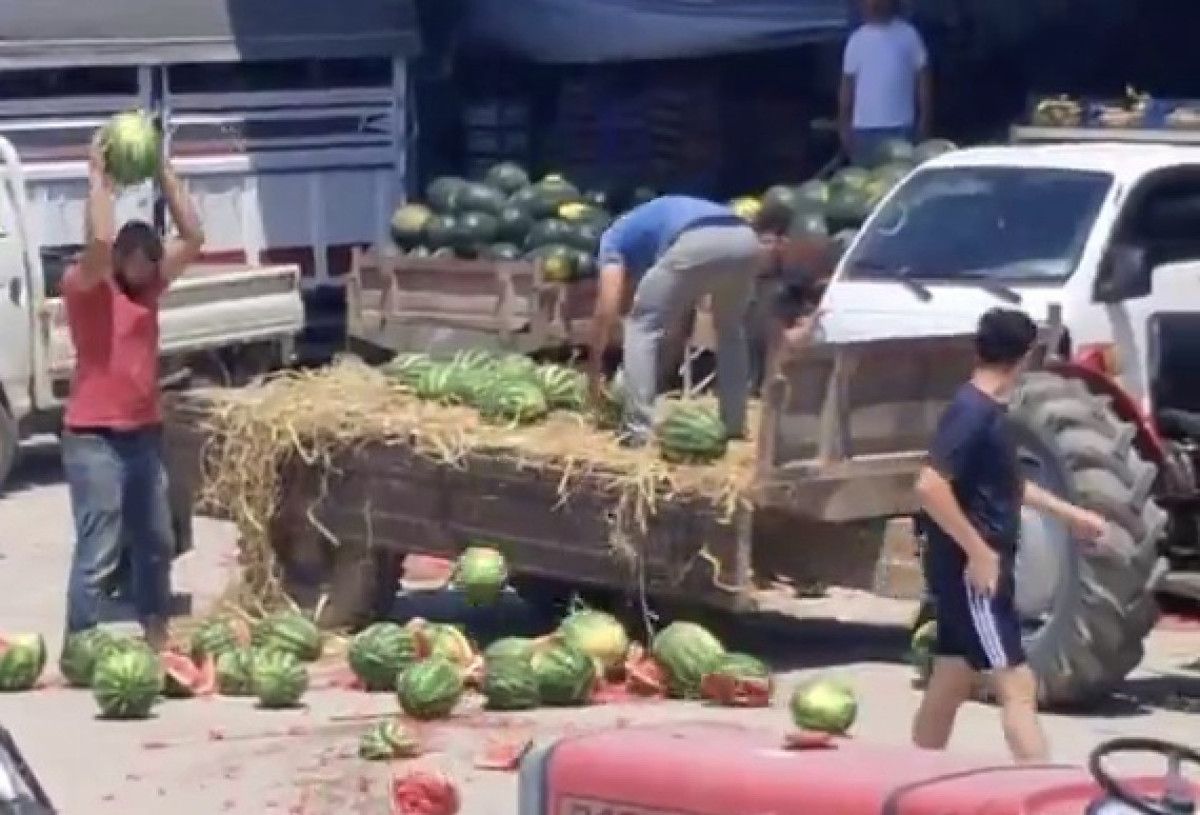 sakaryada karpuzlari yere atip parcalayan ureticiler hakkinda islem baslatildi 0 kV25ppuE