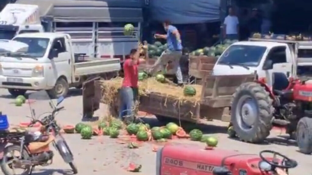 sakaryada karpuzlari yere atip parcalayan ureticiler hakkinda islem baslatildi vZPqZRun