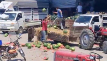 sakaryada karpuzlari yere atip parcalayan ureticiler hakkinda islem baslatildi vZPqZRun