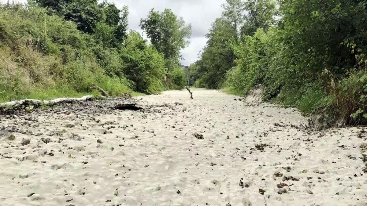 Sakarya'da korkutan manzara: Doğaseverlerin gözdesi kurudu 1 sakaryada korkutan manzara dogaseverlerin gozdesi kurudu 0