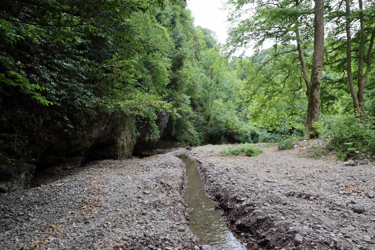 Sakarya'da korkutan manzara: Doğaseverlerin gözdesi kurudu 2 sakaryada korkutan manzara dogaseverlerin gozdesi kurudu 1 4SFECDYW