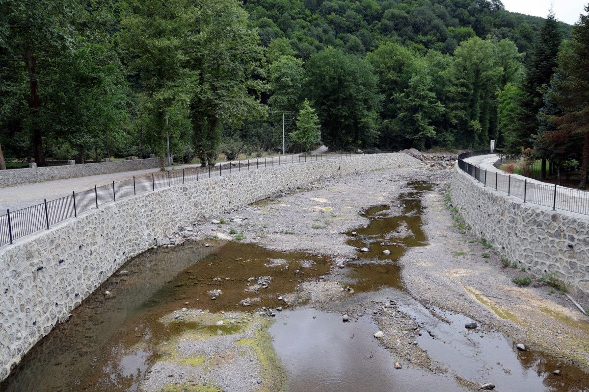 Sakarya'da korkutan manzara: Doğaseverlerin gözdesi kurudu 3 sakaryada korkutan manzara dogaseverlerin gozdesi kurudu 2