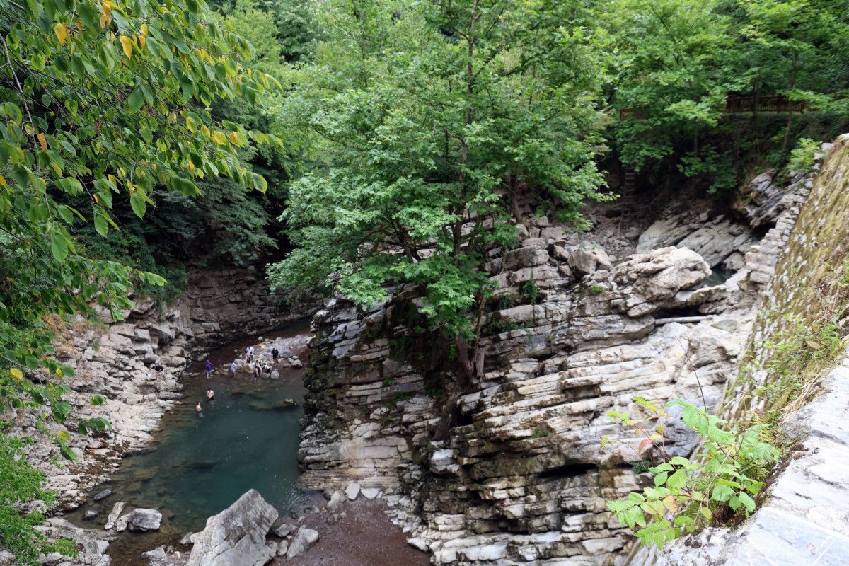 Sakarya'da korkutan manzara: Doğaseverlerin gözdesi kurudu 4 sakaryada korkutan manzara dogaseverlerin gozdesi kurudu 3 TNIP5TVO