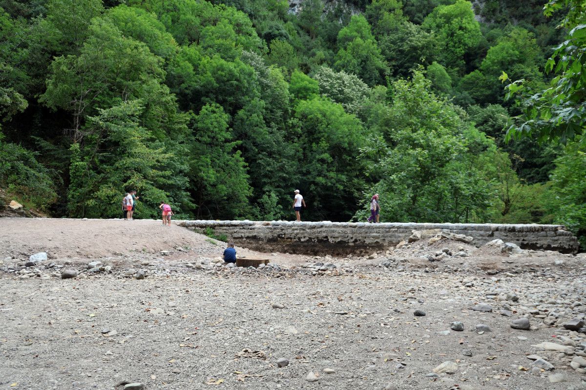 Sakarya'da korkutan manzara: Doğaseverlerin gözdesi kurudu 5 sakaryada korkutan manzara dogaseverlerin gozdesi kurudu 4