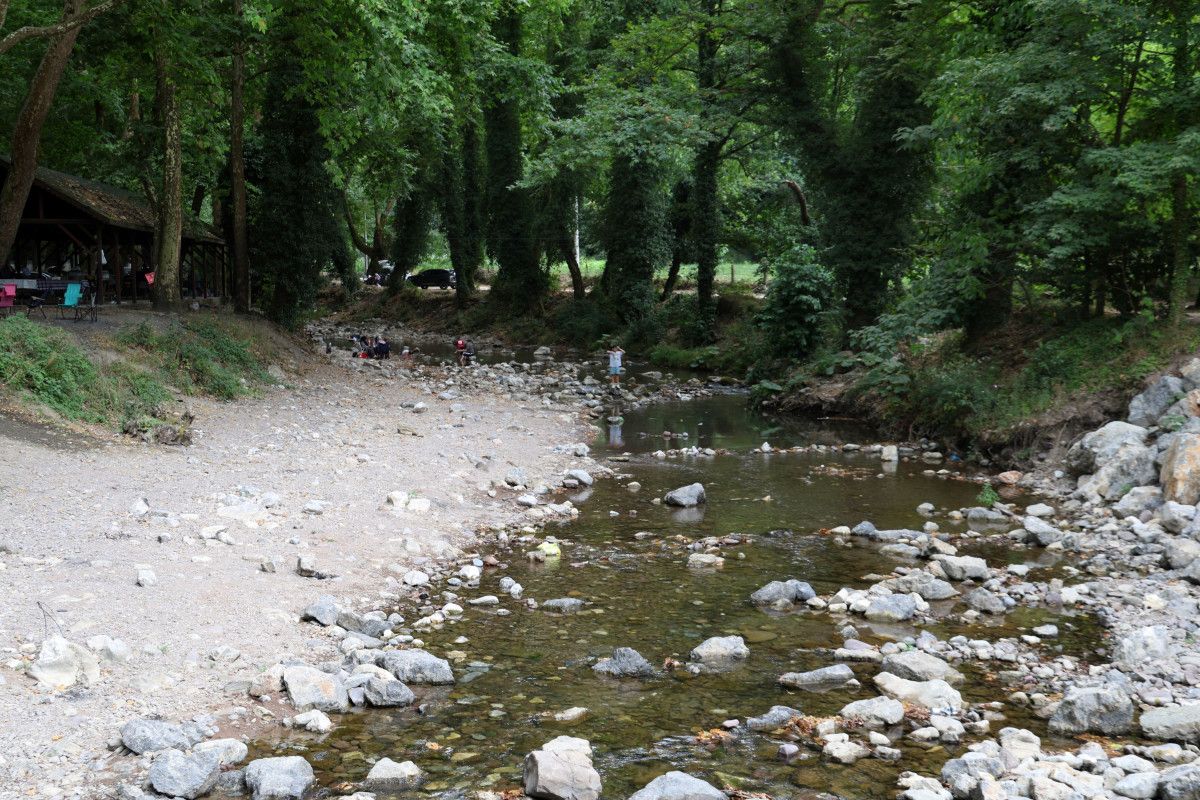 Sakarya'da korkutan manzara: Doğaseverlerin gözdesi kurudu 6 sakaryada korkutan manzara dogaseverlerin gozdesi kurudu 5 RVq9XBFS