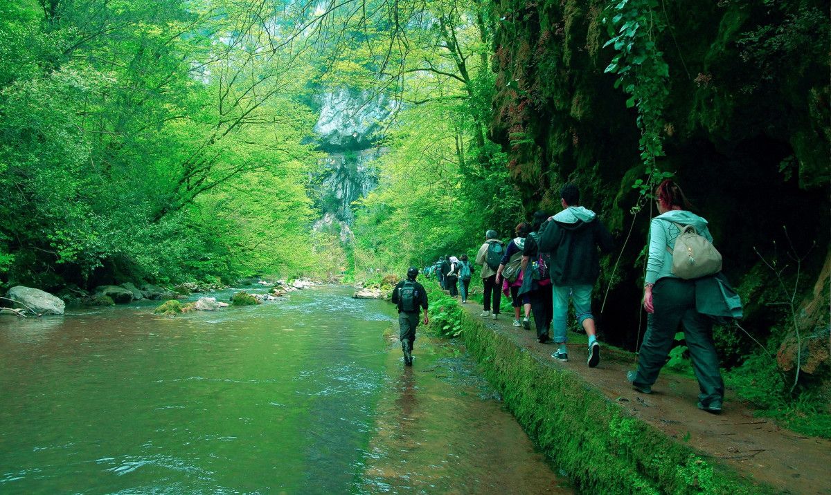 Sakarya'da korkutan manzara: Doğaseverlerin gözdesi kurudu 9 sakaryada korkutan manzara dogaseverlerin gozdesi kurudu 8 6C5zCZdG