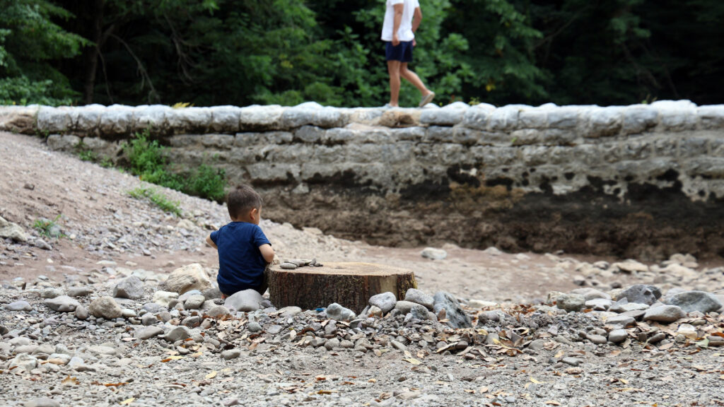 sakaryada korkutan manzara dogaseverlerin gozdesi kurudu ZJcqMCmM