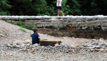 sakaryada korkutan manzara dogaseverlerin gozdesi kurudu ZJcqMCmM