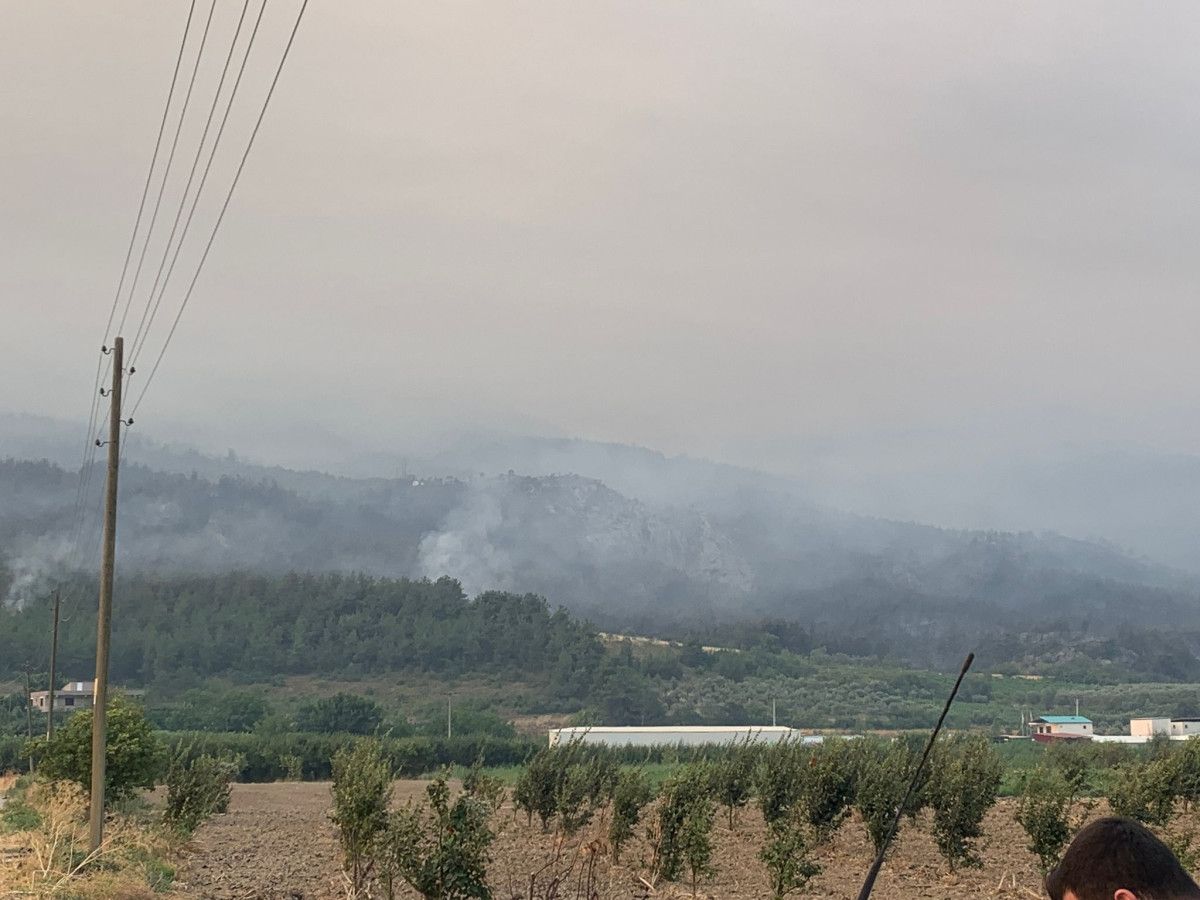 sakaryada yanan ormanlik alanlar goruntulendi 0 2KjrREbH