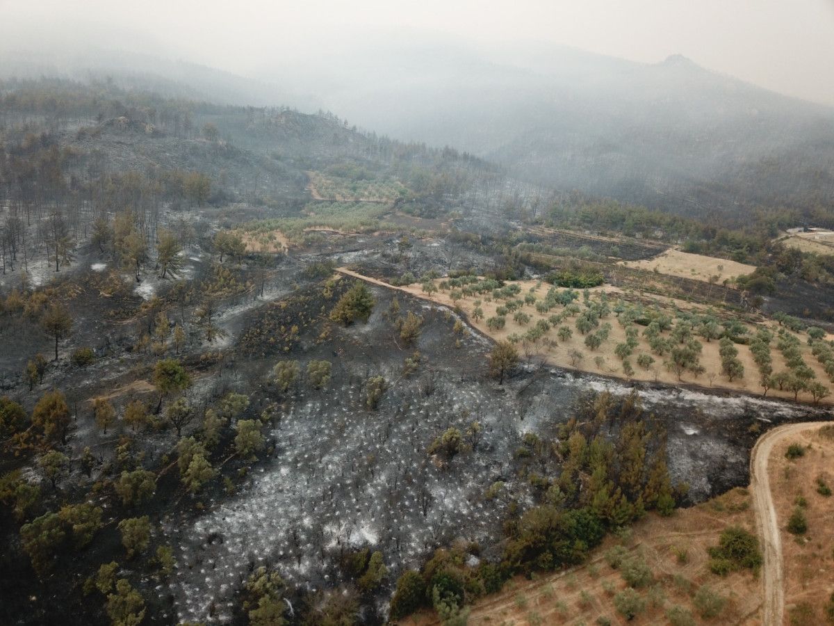 sakaryada yanan ormanlik alanlar goruntulendi 2 T8JsO49R