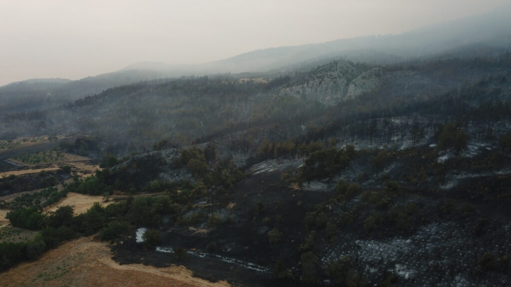 sakaryada yanan ormanlik alanlar goruntulendi N1KLMrOx