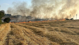 samsunda aniz yangini cikti Th6z67F1