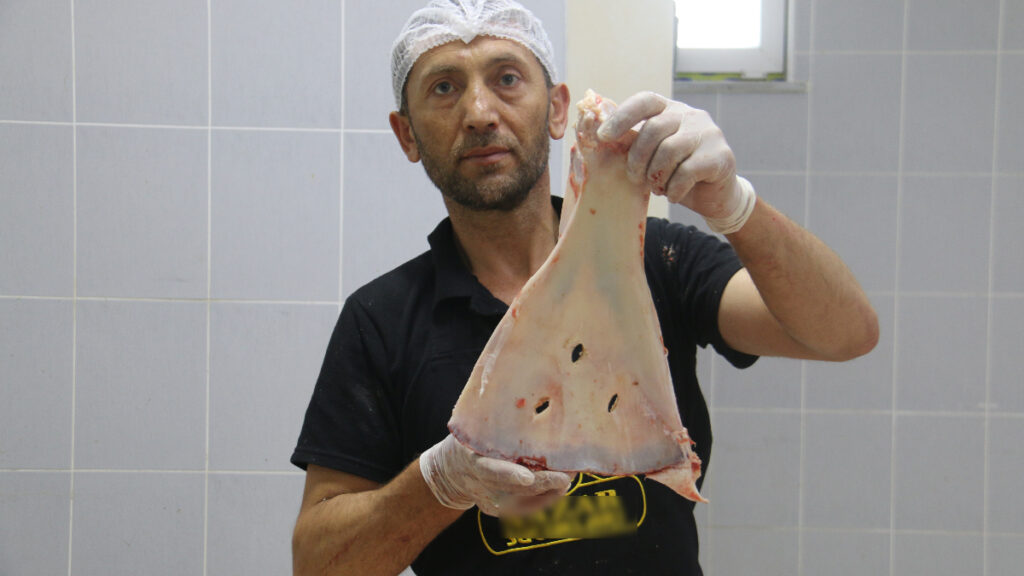 sivasta kasaplarin yuzyillik gelenegi hayvan kemikleri buyuye karsi kiriliyor SGxUNzKW