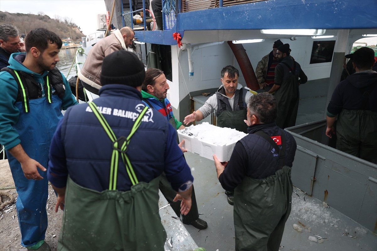 soguktan kactilar kirklarelide igneada aciklarinda hamsi bollugu yasaniyor 0 raBpWWmO
