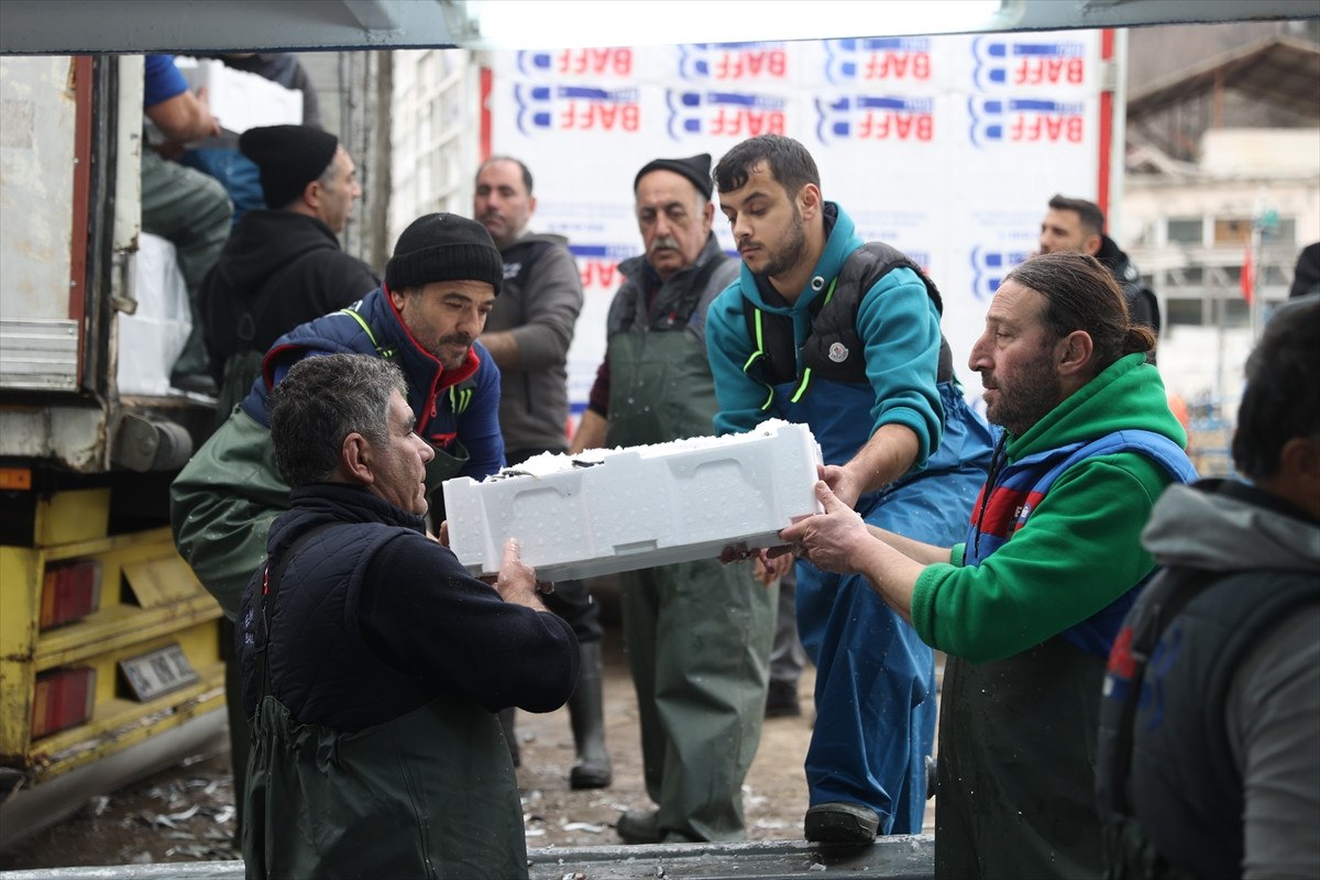 soguktan kactilar kirklarelide igneada aciklarinda hamsi bollugu yasaniyor 1