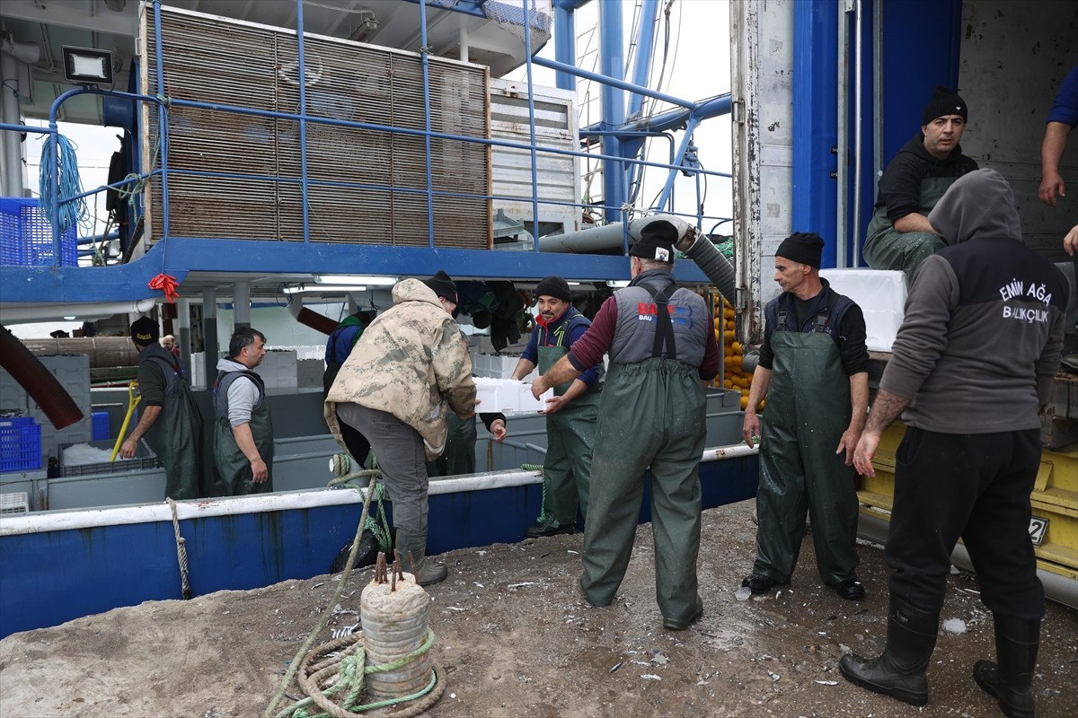 soguktan kactilar kirklarelide igneada aciklarinda hamsi bollugu yasaniyor 4 HQeNmQnJ