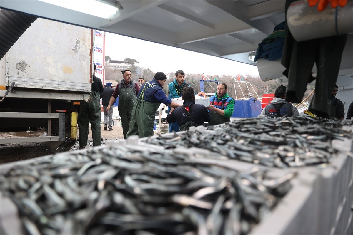 soguktan kactilar kirklarelide igneada aciklarinda hamsi bollugu yasaniyor 7 mEDkUD6L