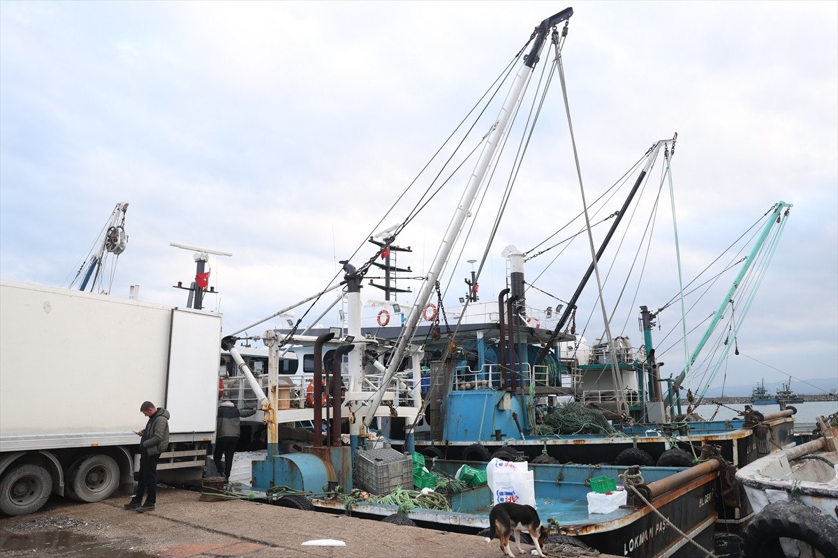 soguktan kactilar kirklarelide igneada aciklarinda hamsi bollugu yasaniyor 8 rD1iMrci