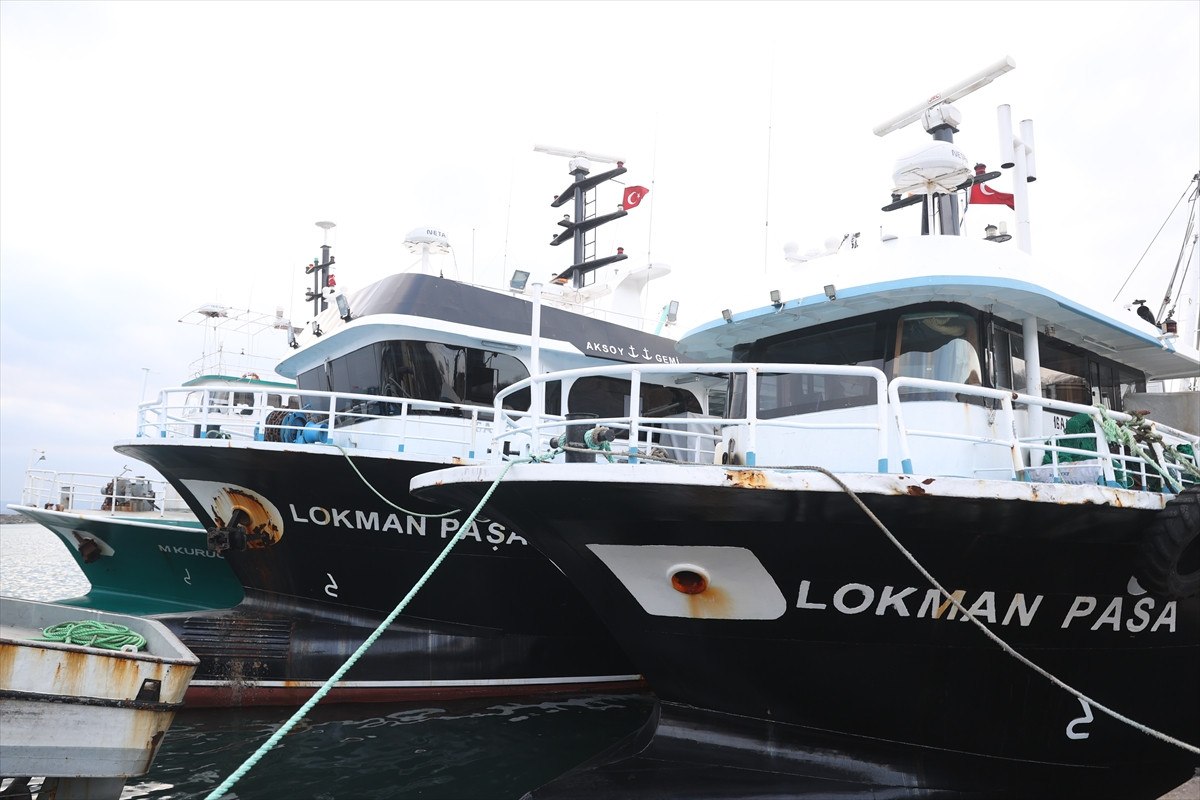 soguktan kactilar kirklarelide igneada aciklarinda hamsi bollugu yasaniyor 9 sK7YaELS