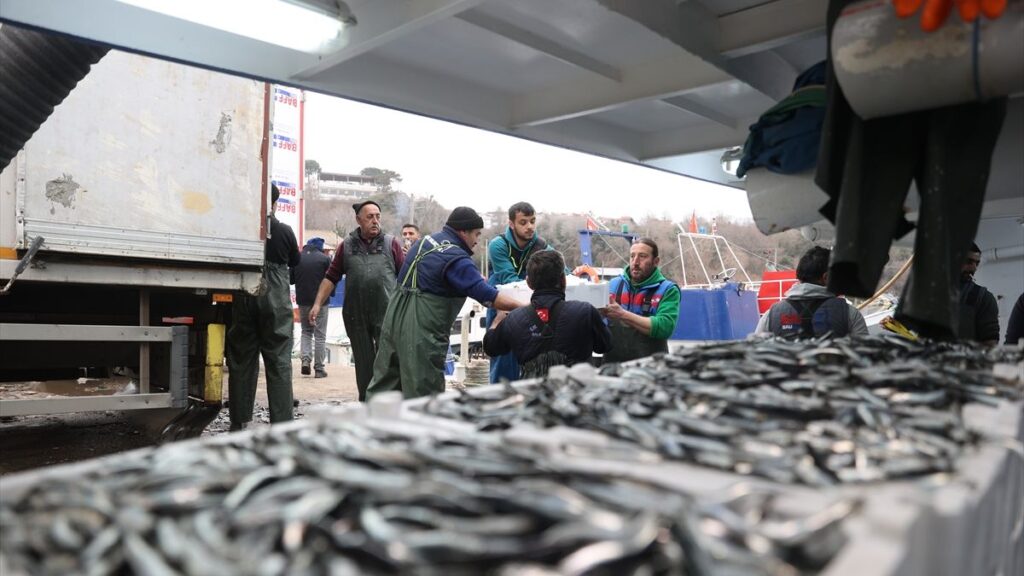 soguktan kactilar kirklarelide igneada aciklarinda hamsi bollugu yasaniyor n4GqMXSb