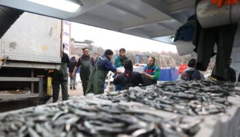 soguktan kactilar kirklarelide igneada aciklarinda hamsi bollugu yasaniyor n4GqMXSb