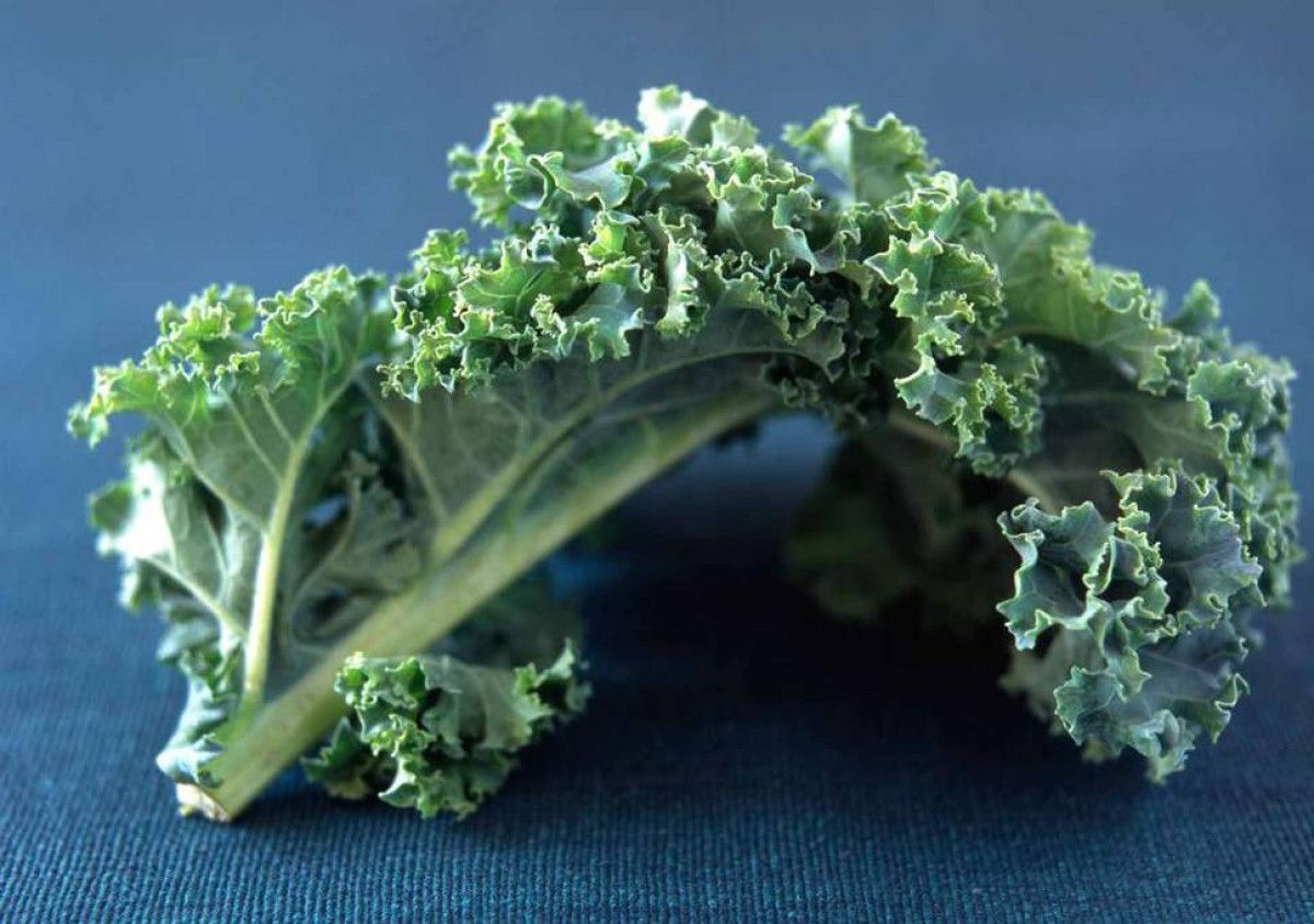 super besin kale bitkisinin sagliga mucizevi faydalari 3 sG9DUtgl