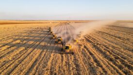 tarim enflasyonu ocakta aylik bazda yuzde 274 artti hVQYTBRO