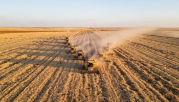 tarim enflasyonu ocakta aylik bazda yuzde 274 artti hVQYTBRO