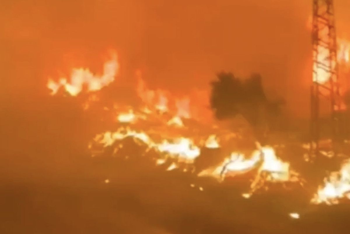 tekirdag ormanlari alevler icinde yanmaya devam ediyor mudahale suruyor 12 lP8v1RRF