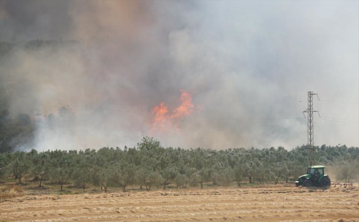 tekirdagda aniz yangini panigi alevler ormana sicradi 1 ZeeQ34Cq