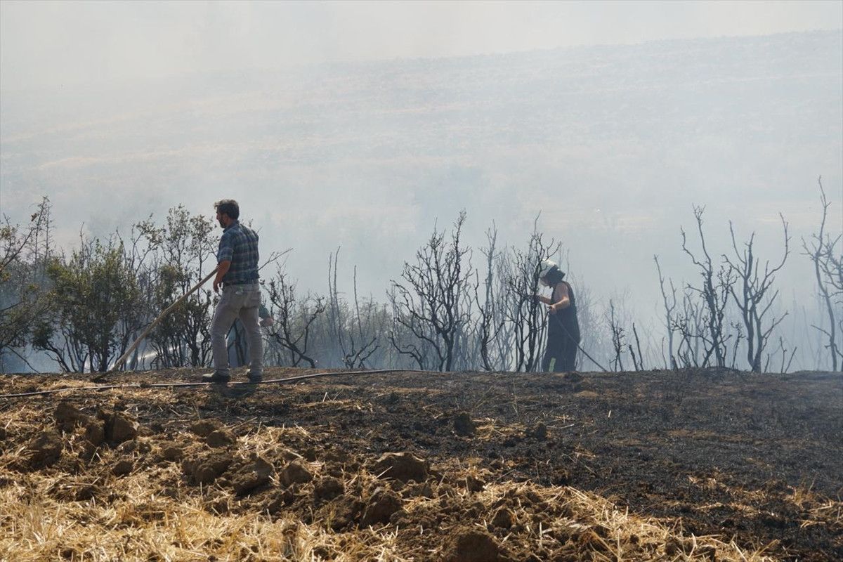 tekirdagda aniz yangini panigi alevler ormana sicradi 2 GIwcyaZM