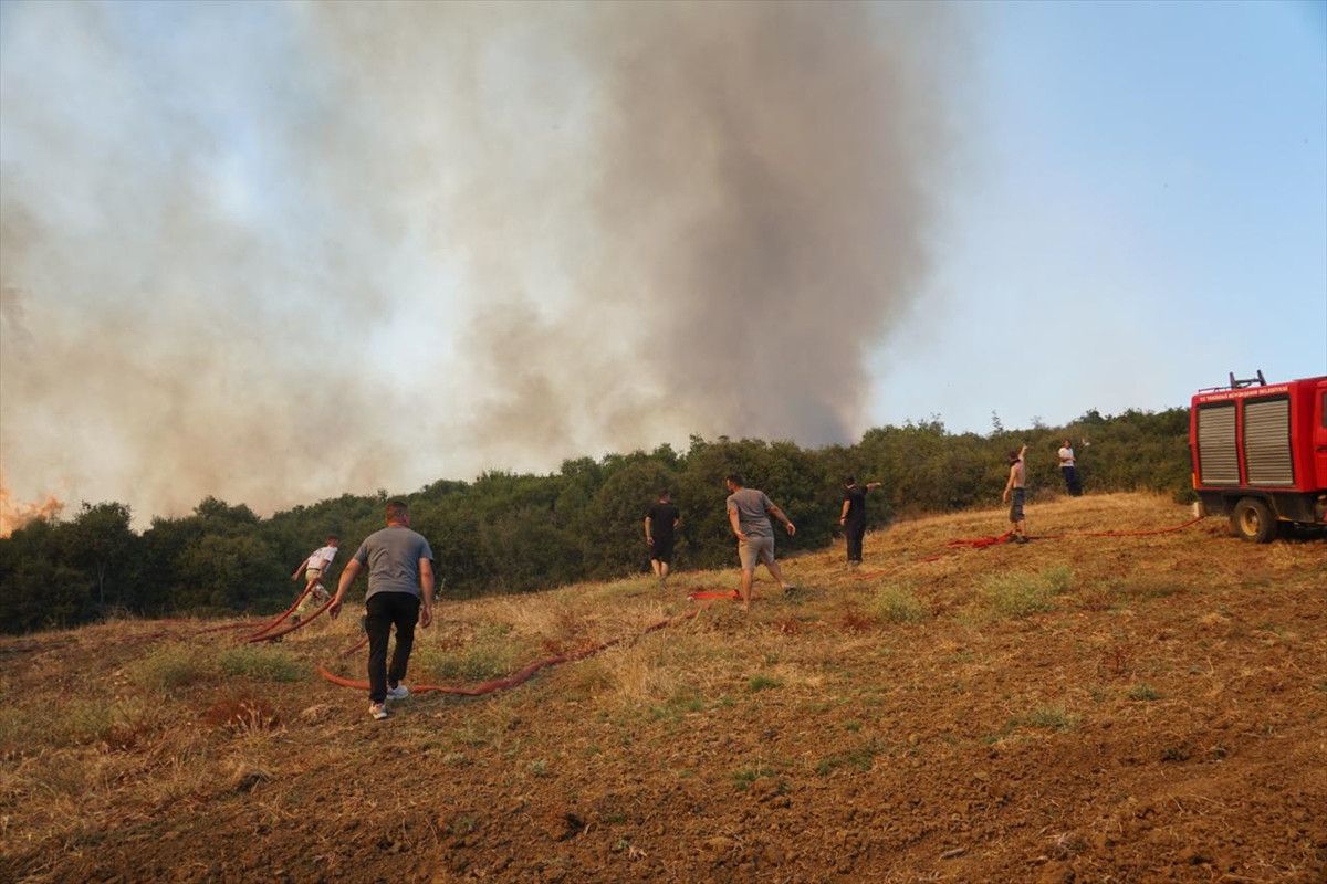tekirdagda aniz yangini panigi alevler ormana sicradi 4 h9r9ytES