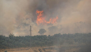 tekirdagda aniz yangini panigi alevler ormana sicradi uz4qDpYJ