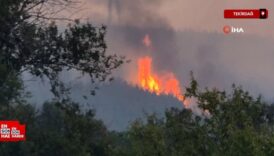 tekirdagda orman yangini havadan goruntulendi RlNwN37z