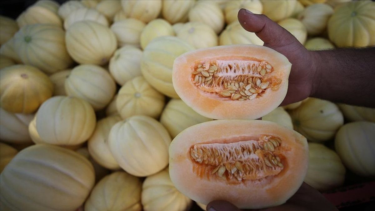 temizlenmeyen kavun ve karpuz gida zehirlenmesine yol acabiliyor 0 rbOpC3Fs